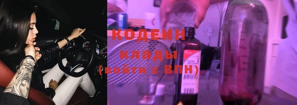 твердый Володарск