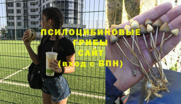 твердый Володарск