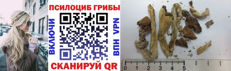 Псилоцибиновые грибы мицелий  Поворино 
